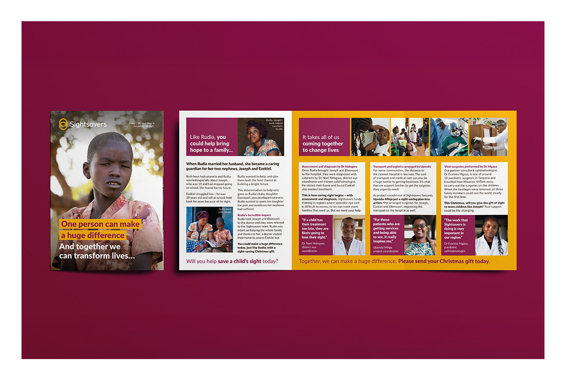 Ianjohnsonseniorcreativeartworker Charity SS 03